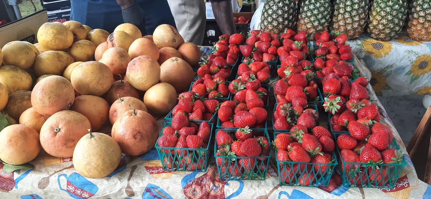 Apalachicola-Farmers-Market-f3BnxC.tmp_